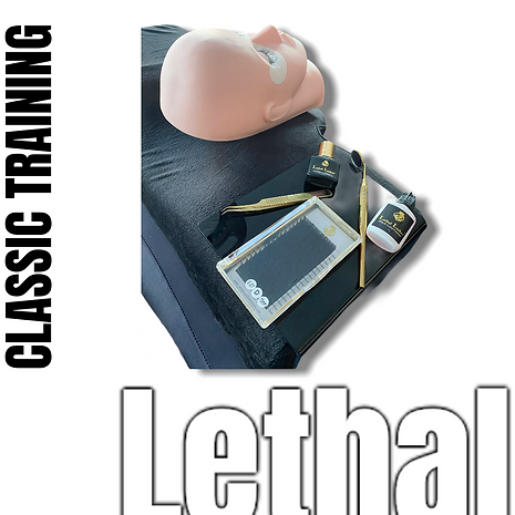 Classic Lash Training Course - Online