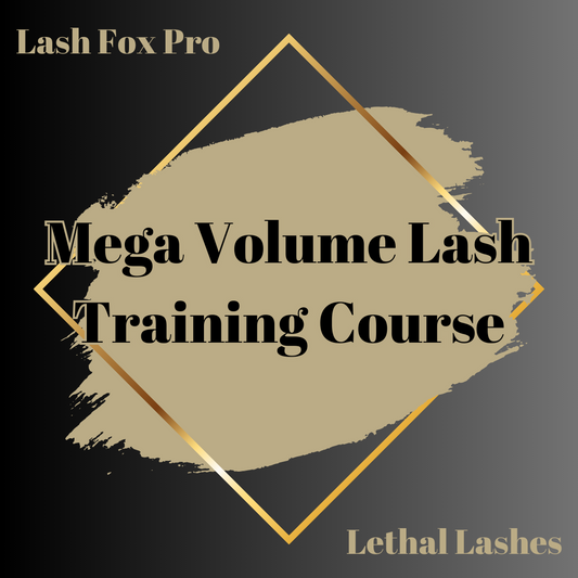 Mega Volume Lash Training Course - Online