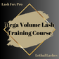 Online Mega Volume Lash Training Course