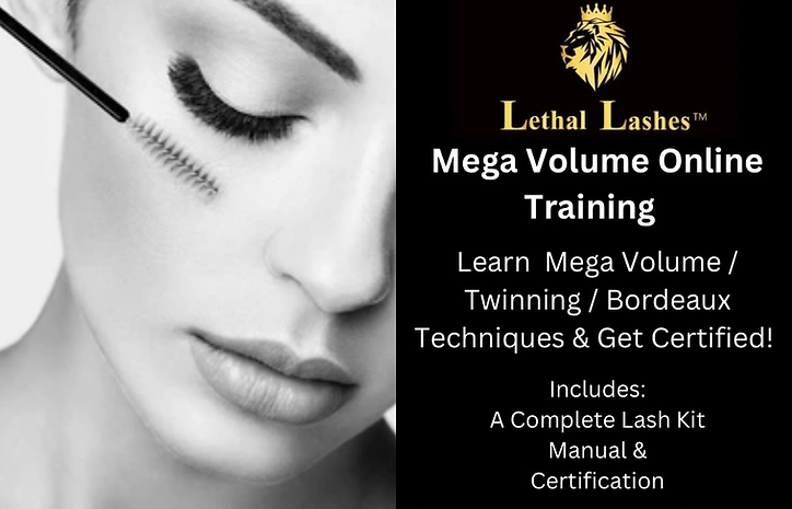 Online Mega Volume Lash Training Course